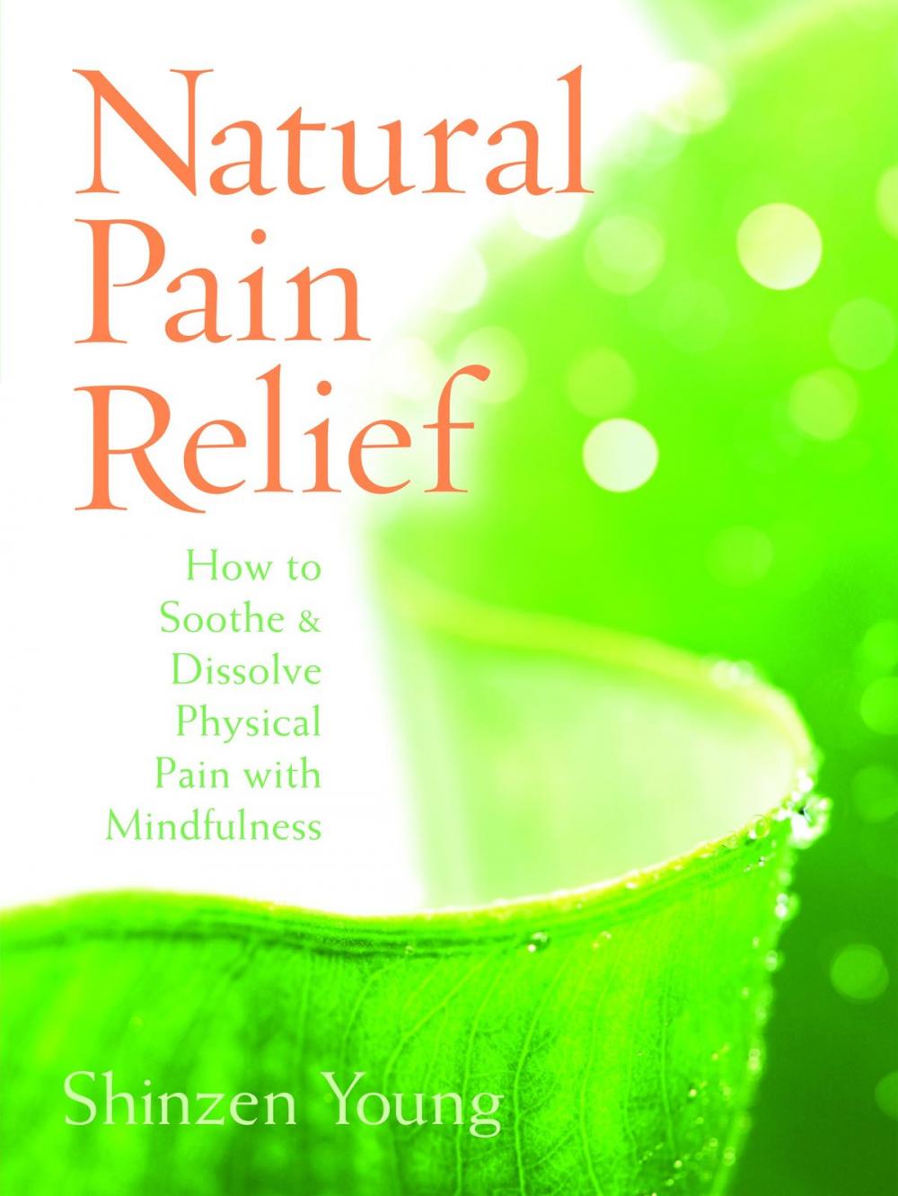 Big bigCover of Natural Pain Relief