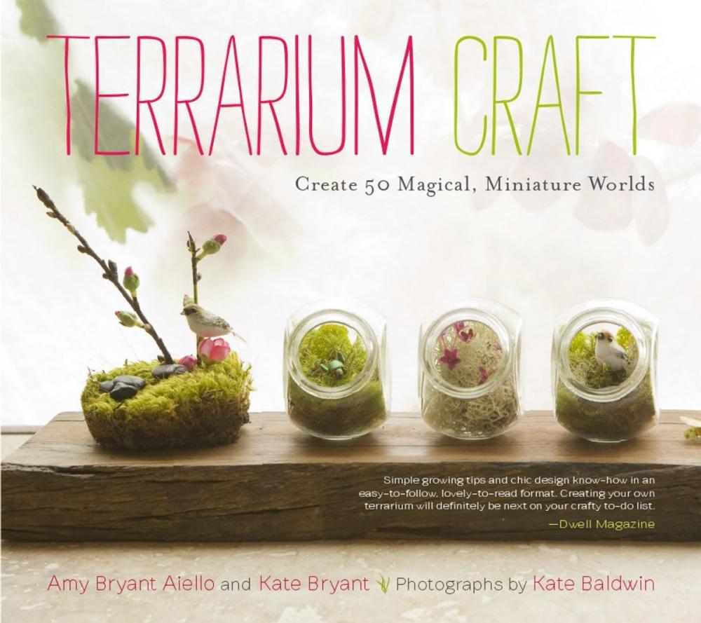 Big bigCover of Terrarium Craft