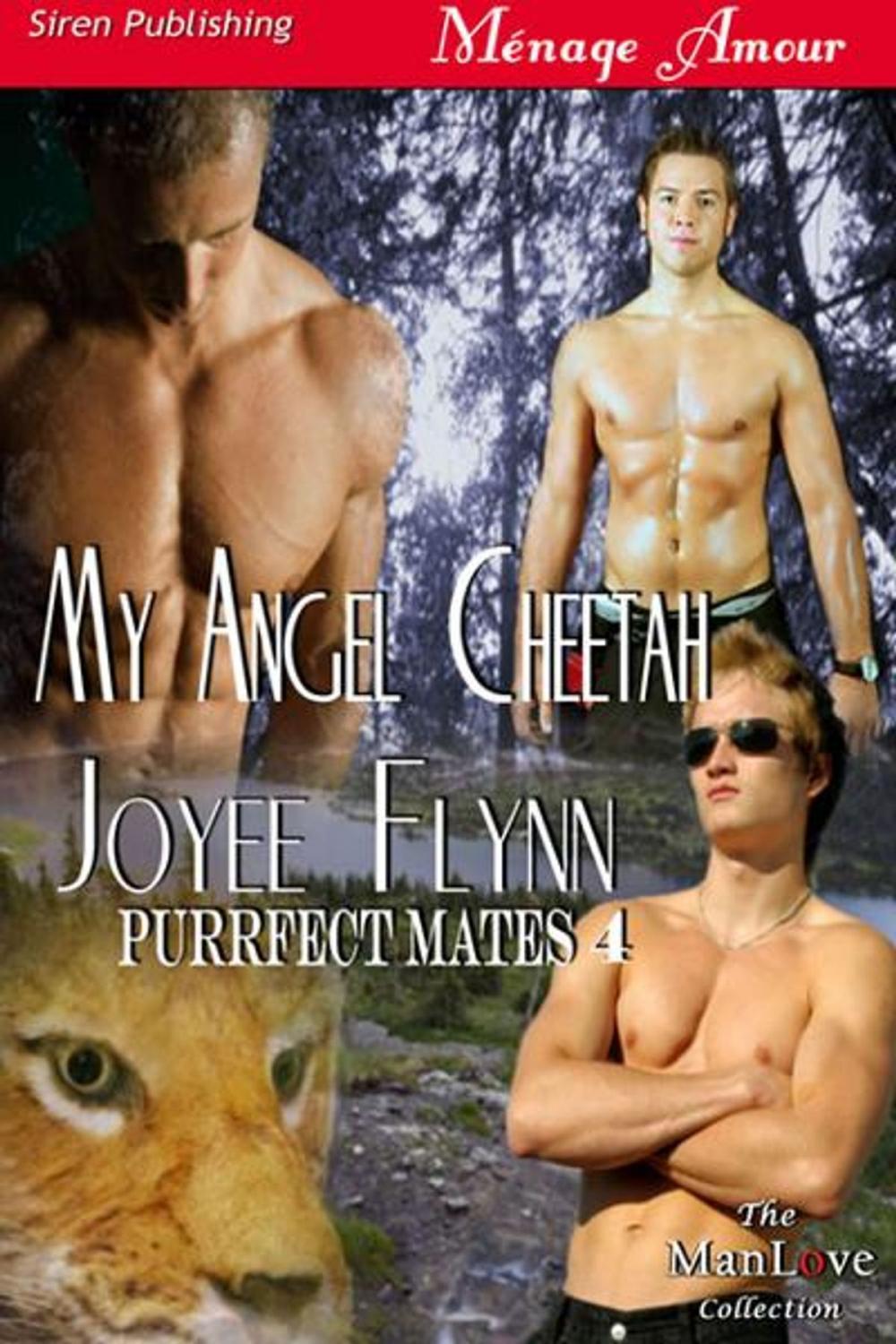 Big bigCover of My Angel Cheetah