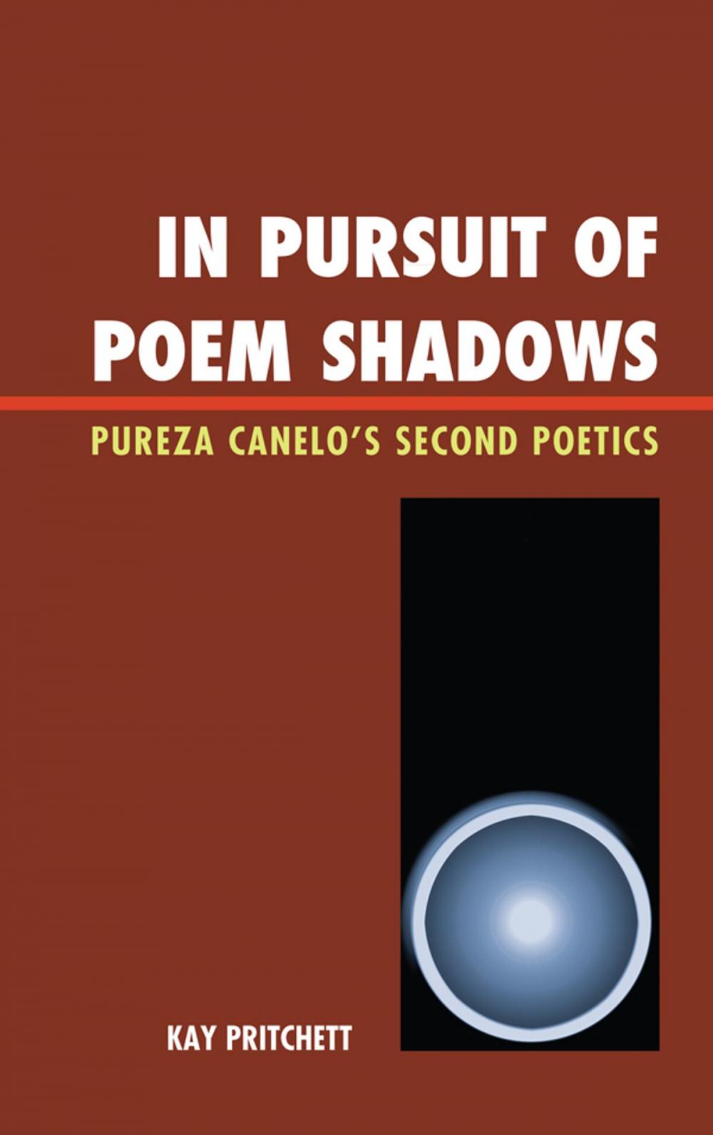 Big bigCover of In Pursuit of Poem Shadows