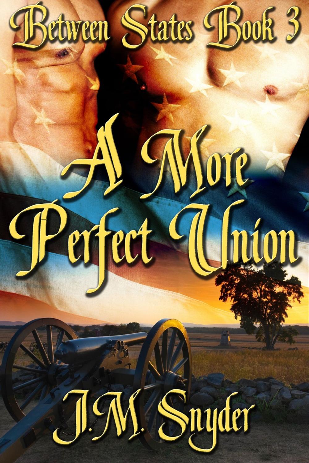 Big bigCover of A More Perfect Union