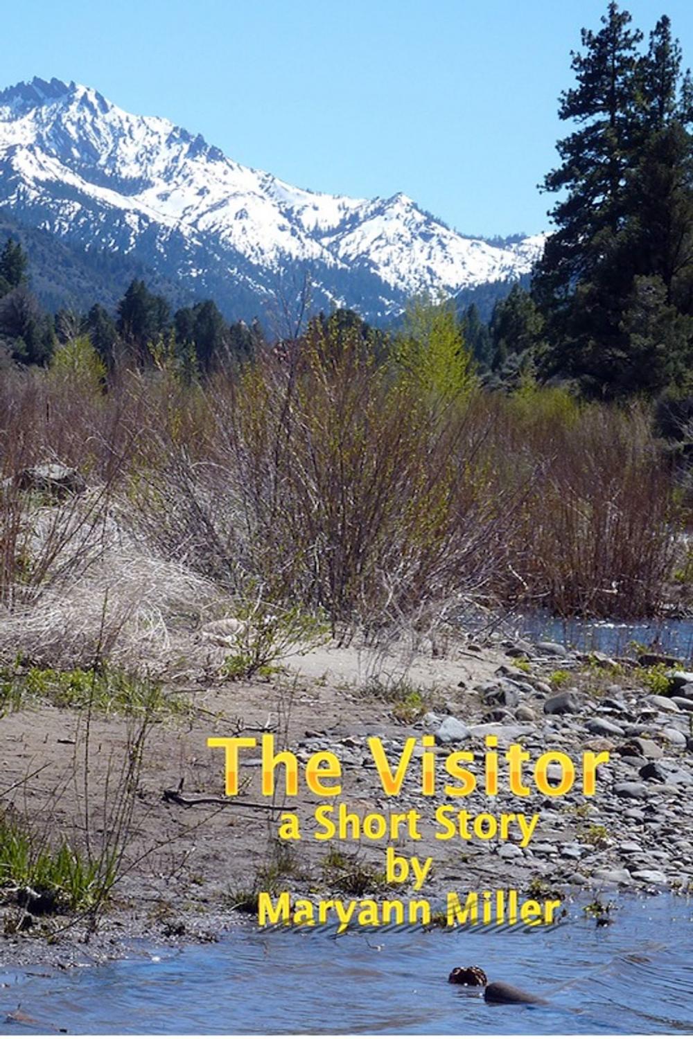 Big bigCover of The Visitor