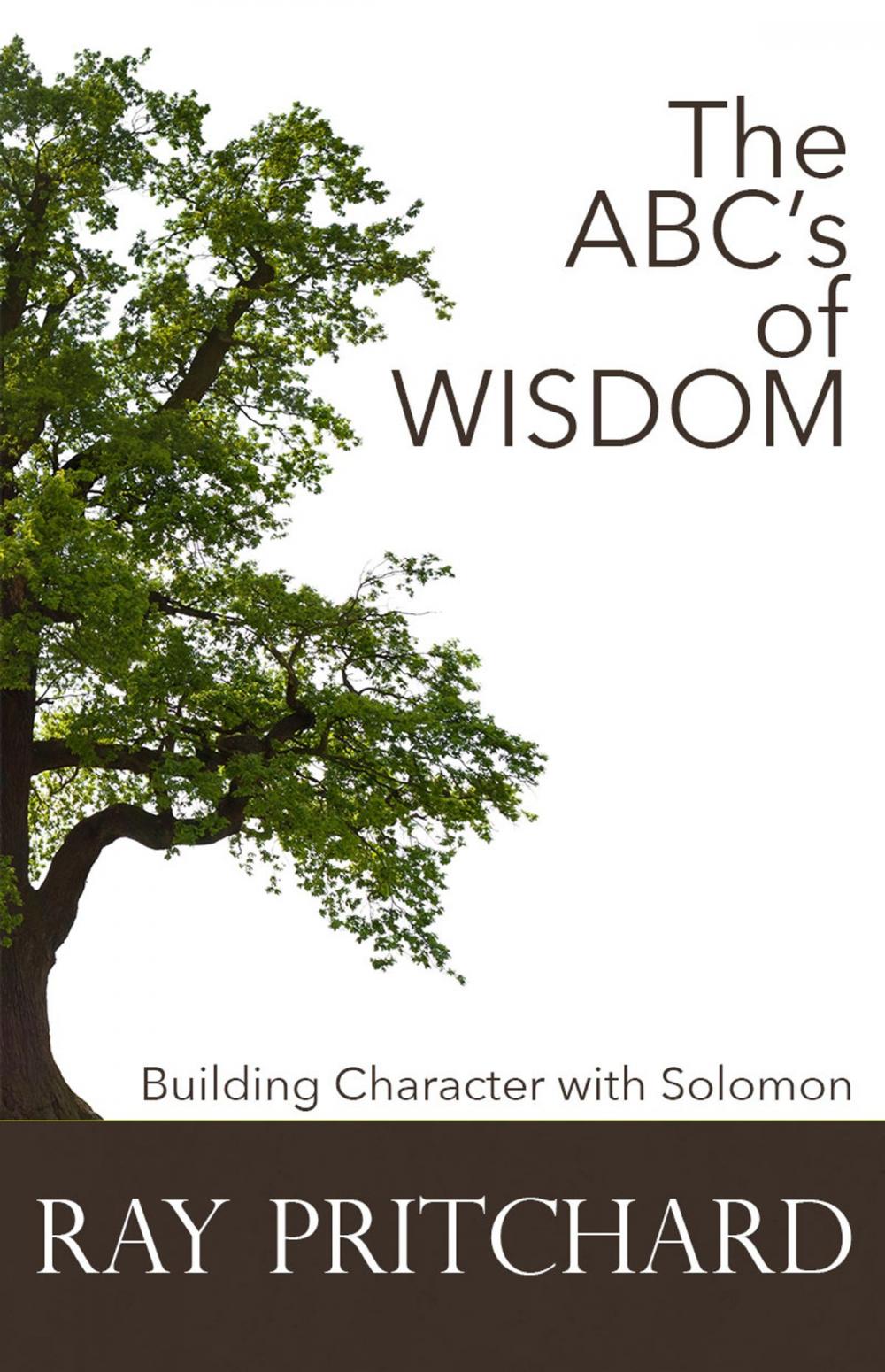 Big bigCover of The ABC's of Wisdom