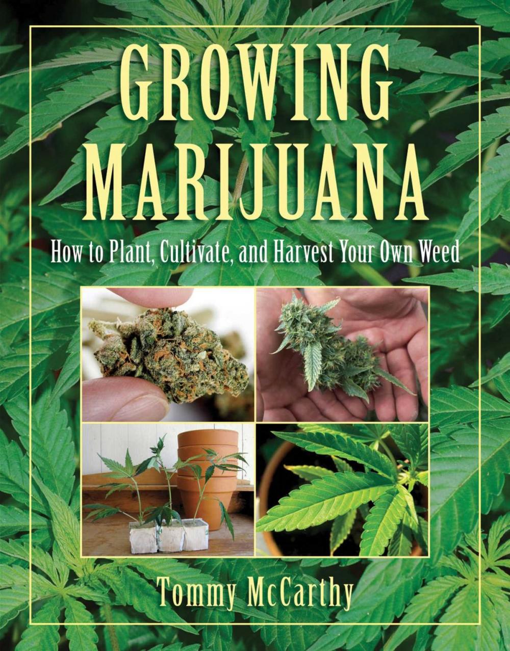 Big bigCover of Growing Marijuana