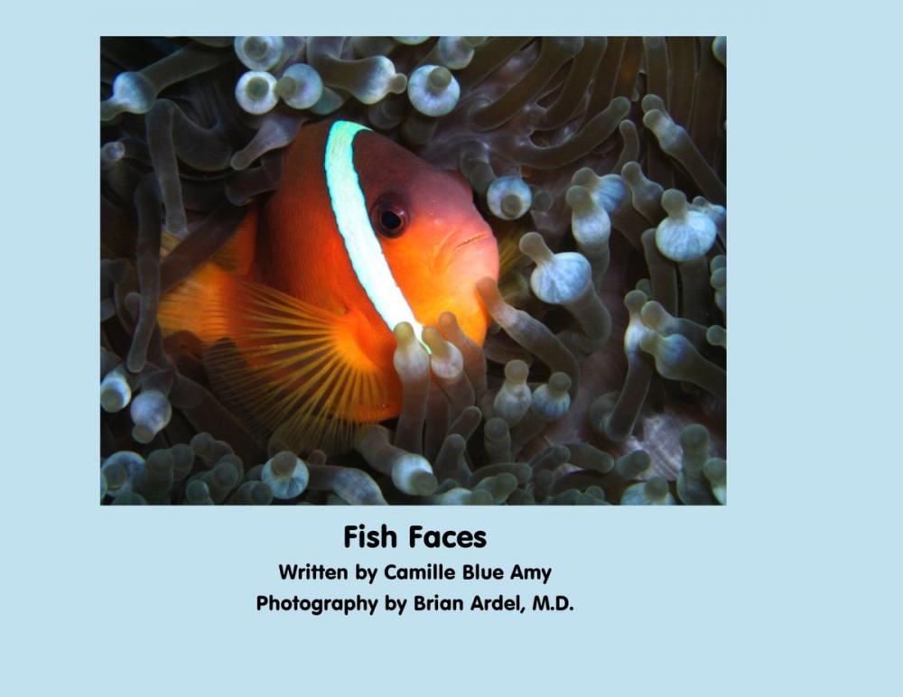 Big bigCover of Fish Faces