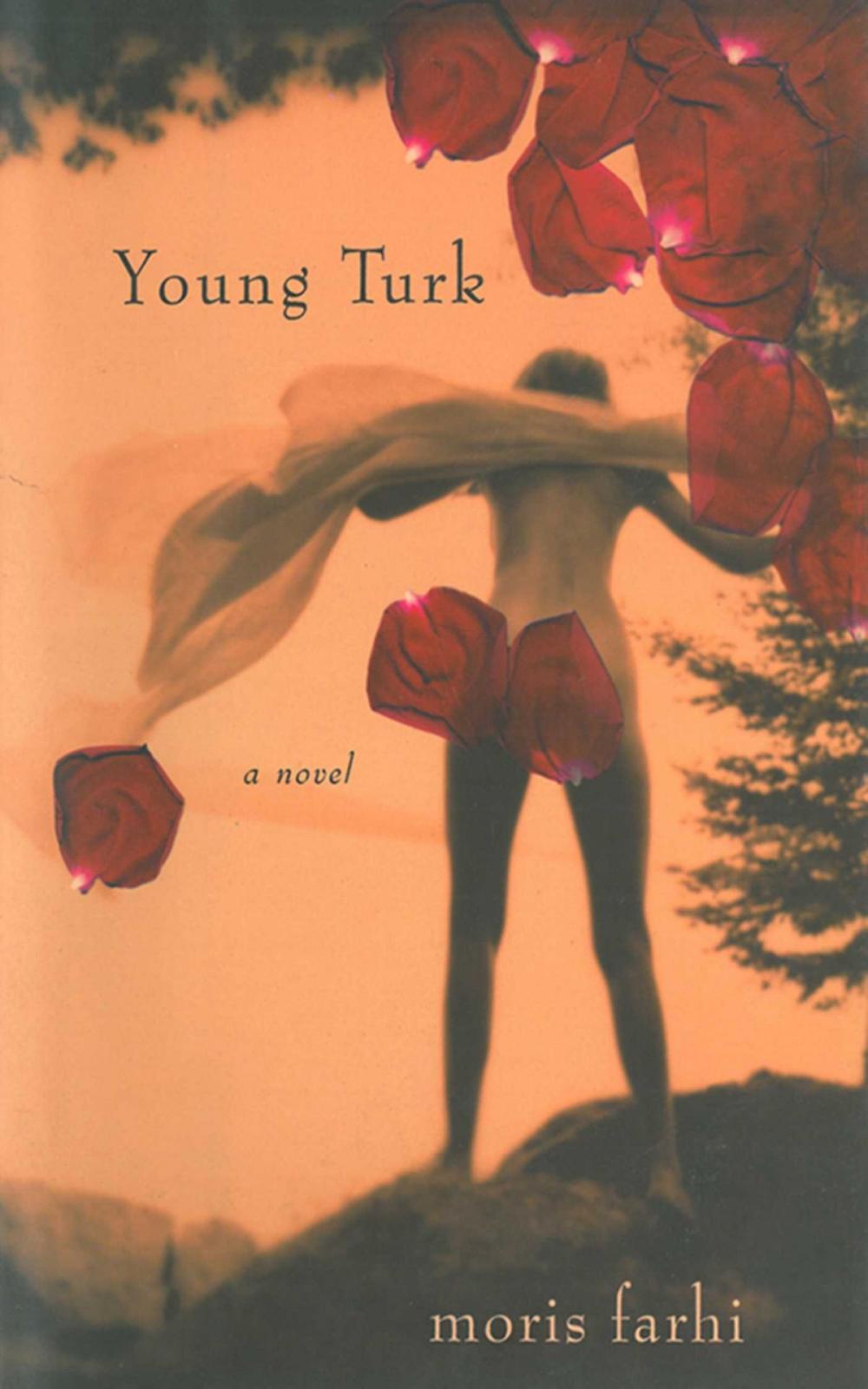 Big bigCover of Young Turk: A Novel