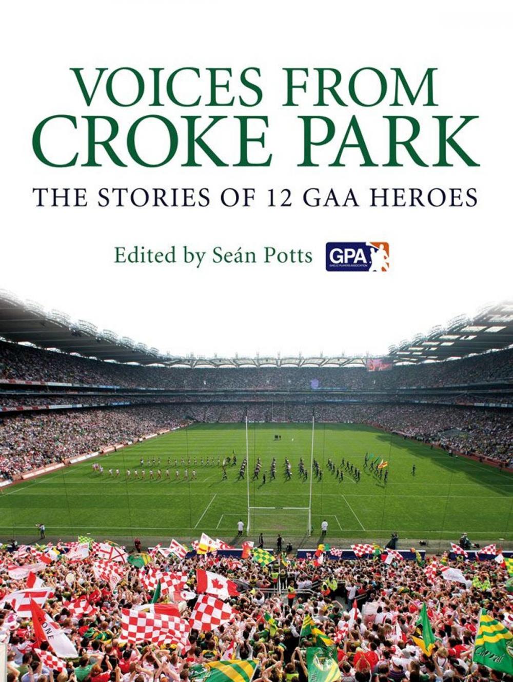 Big bigCover of Voices from Croke Park