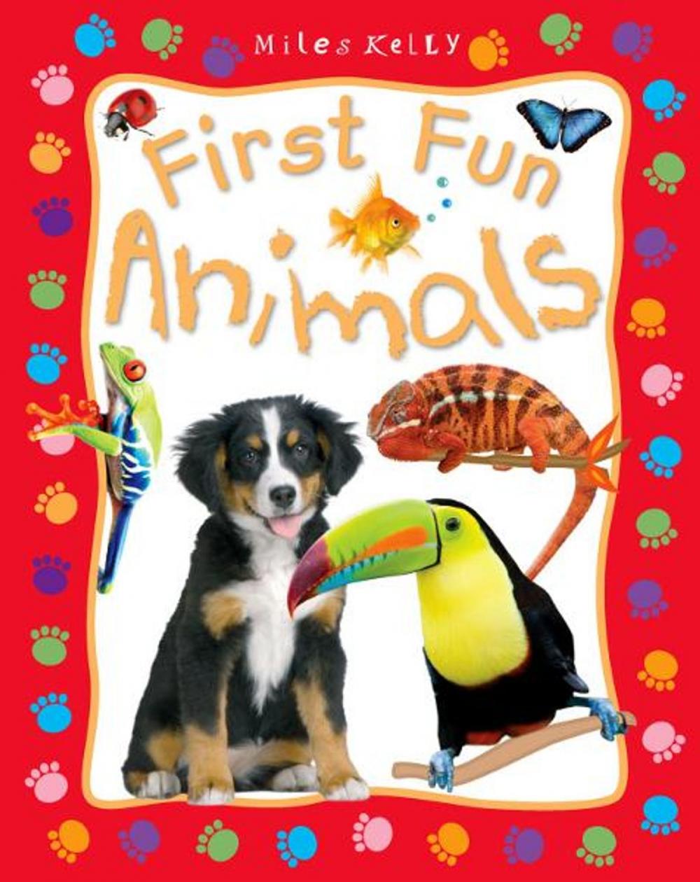 Big bigCover of First Fun Animals