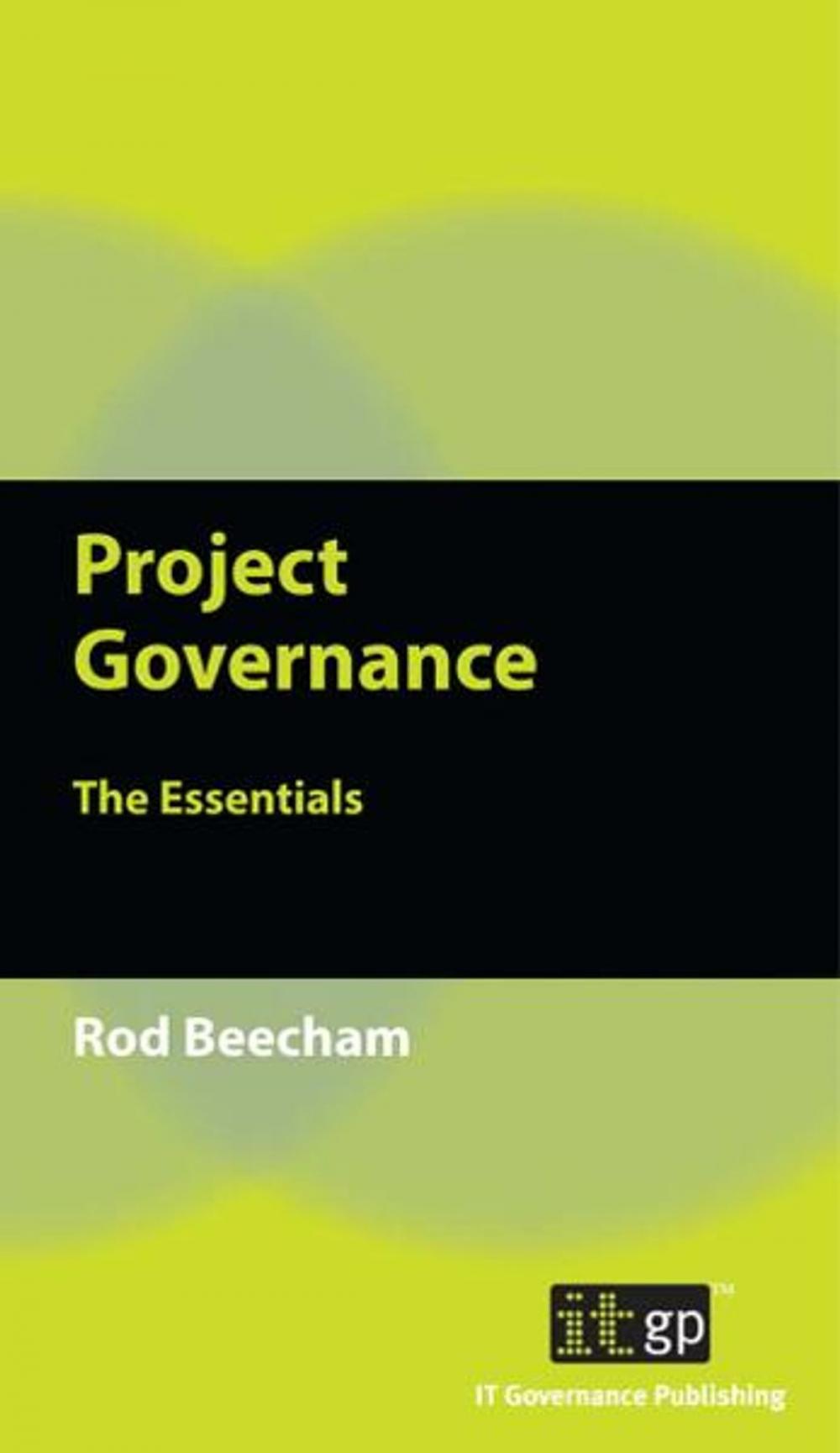 Big bigCover of Project Governance