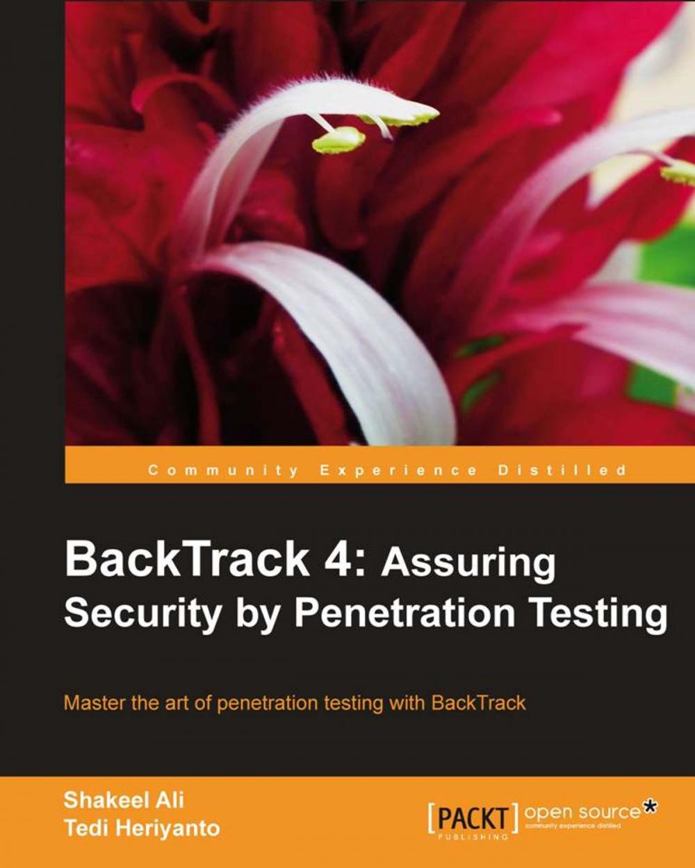 Big bigCover of BackTrack 4: Assuring Security by Penetration Testing