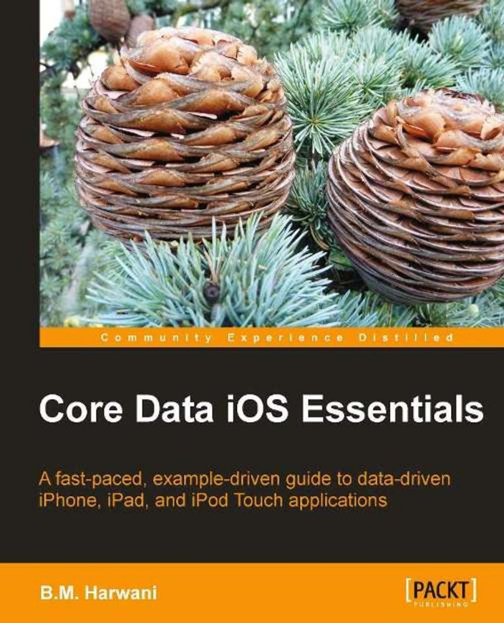 Big bigCover of Core Data iOS Essentials