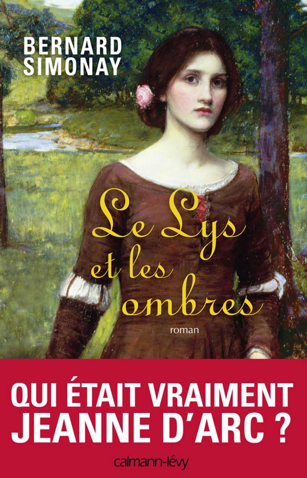 Big bigCover of Le Lys et les ombres