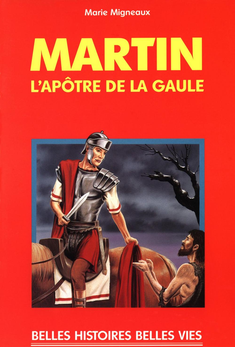 Big bigCover of Saint Martin