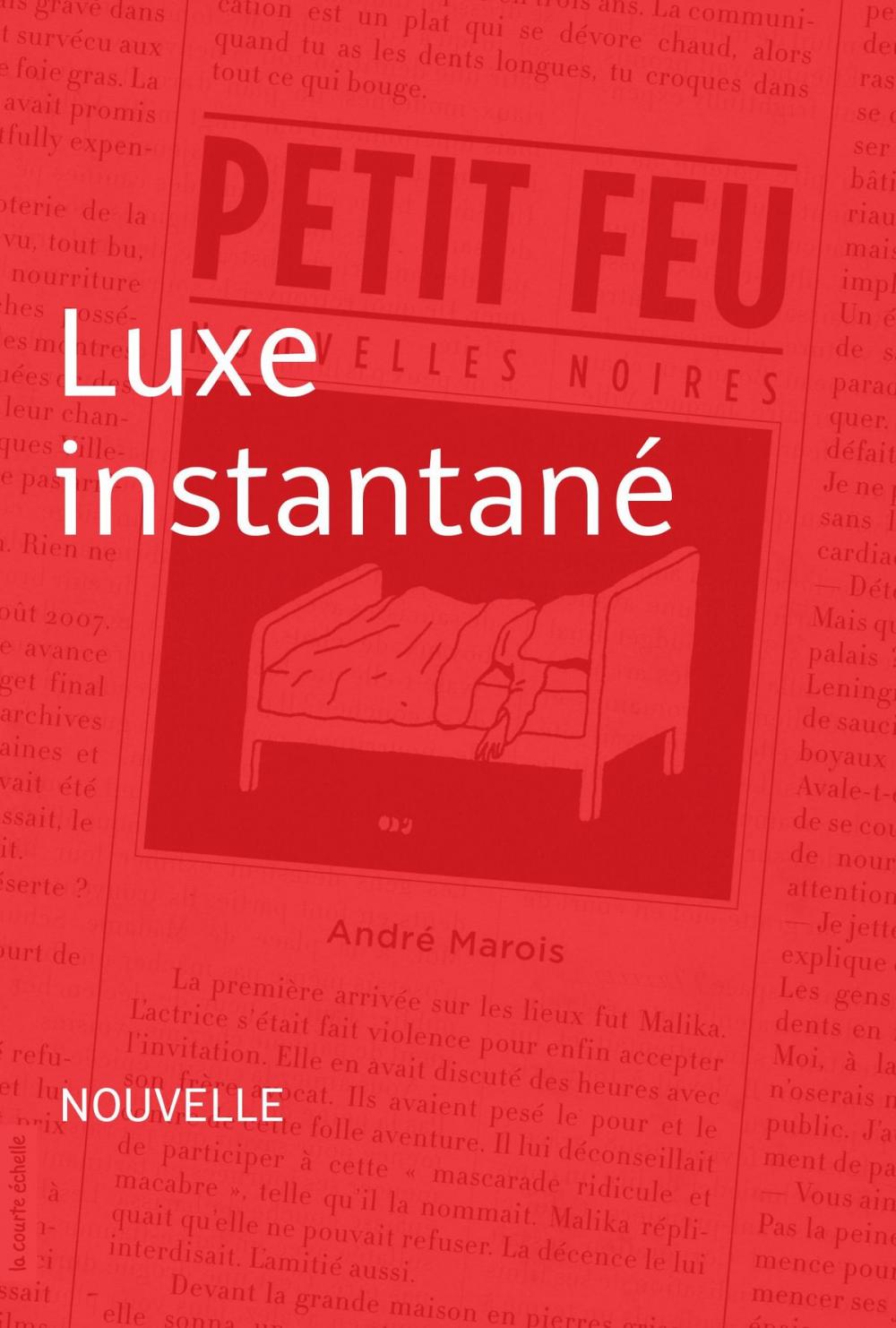 Big bigCover of Luxe instantané