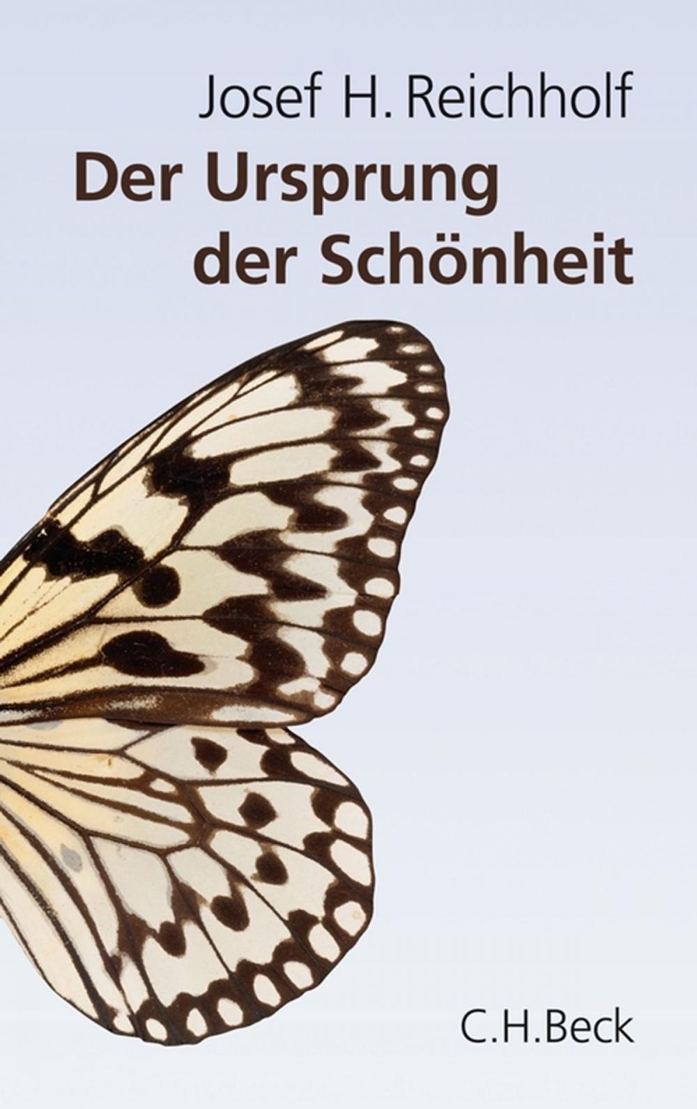 Big bigCover of Der Ursprung der Schönheit