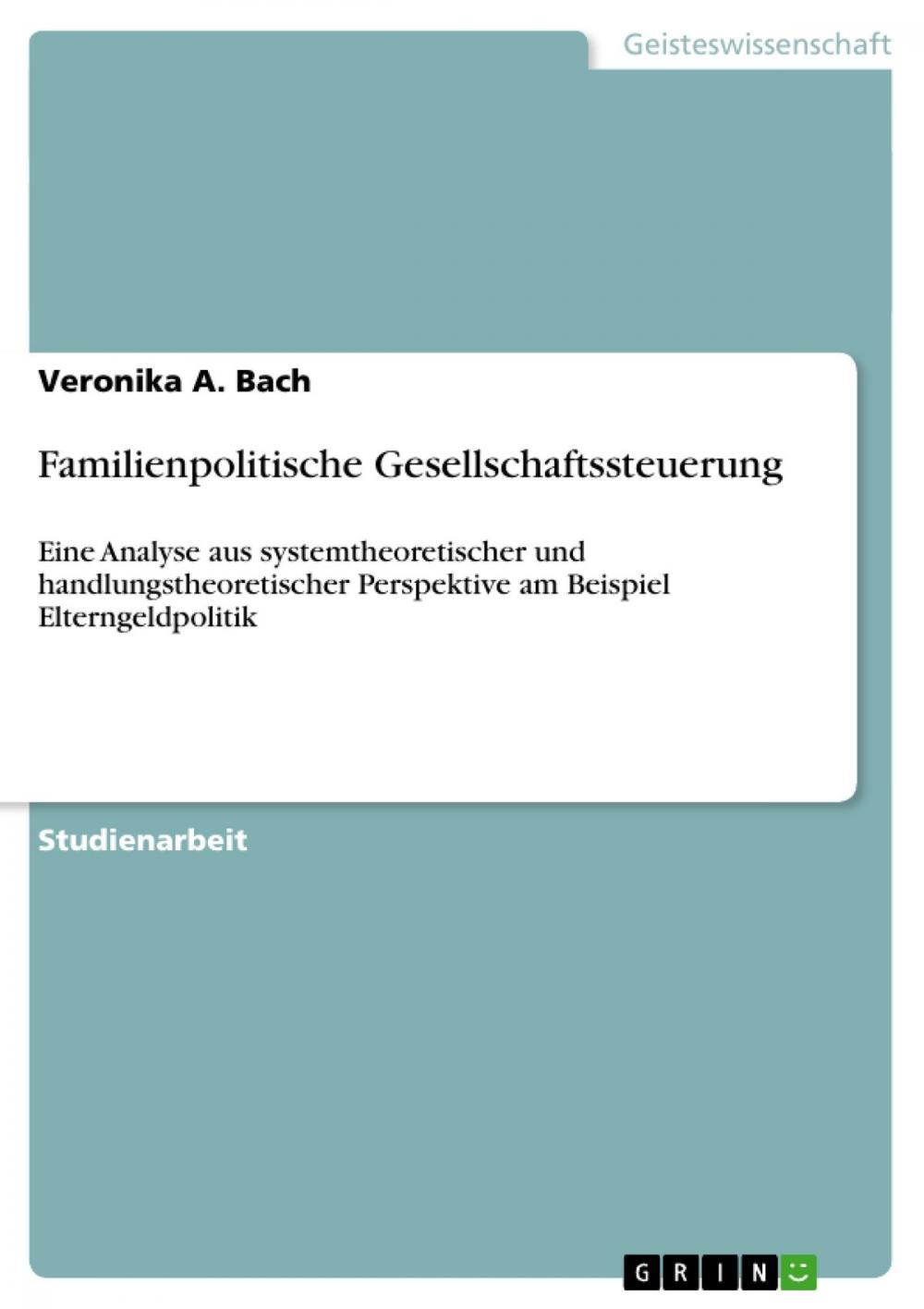 Big bigCover of Familienpolitische Gesellschaftssteuerung