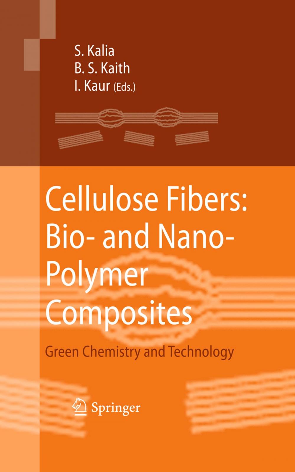 Big bigCover of Cellulose Fibers: Bio- and Nano-Polymer Composites