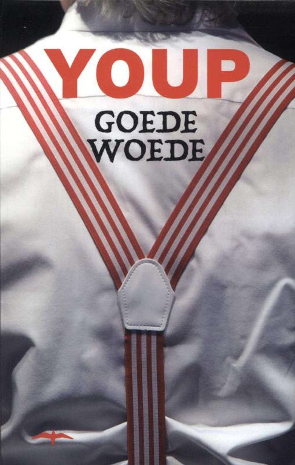 Big bigCover of Goede woede