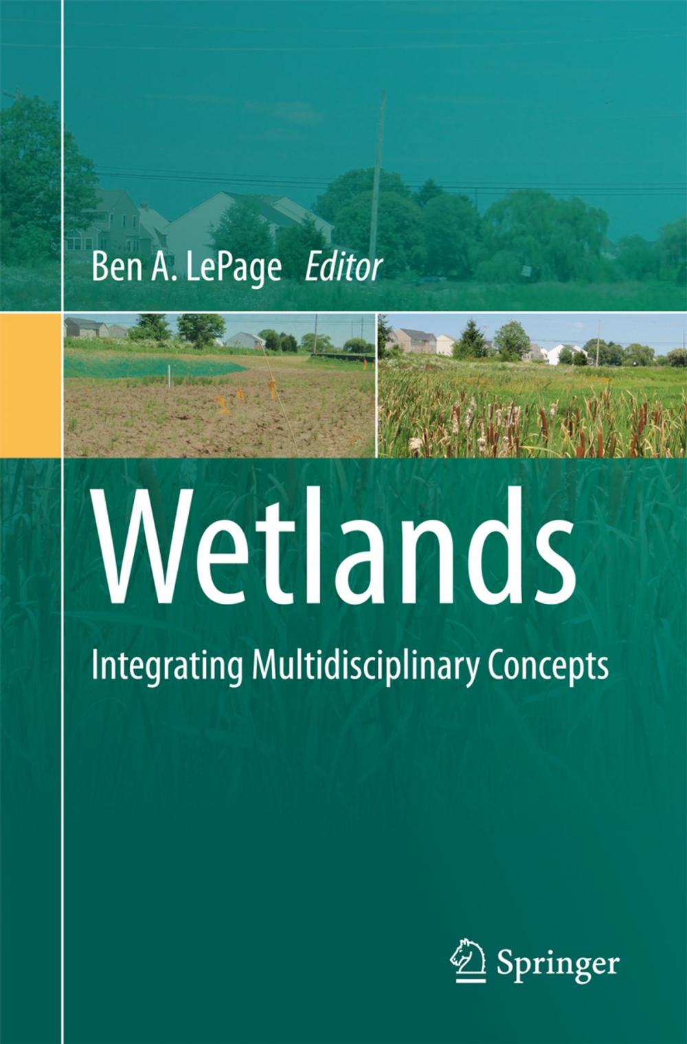 Big bigCover of Wetlands