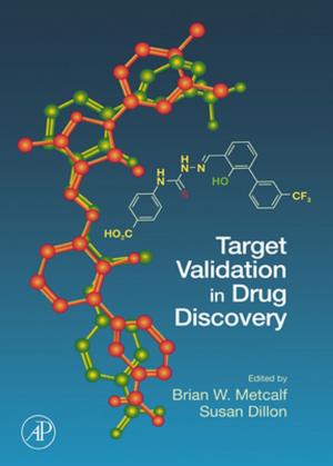 Cover of the book Target Validation in Drug Discovery by Hamed Niroumand