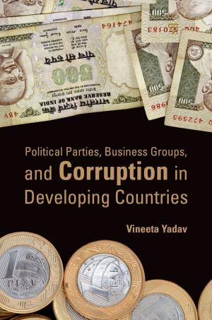 Cover of the book Political Parties, Business Groups, and Corruption in Developing Countries by Wit Flounder