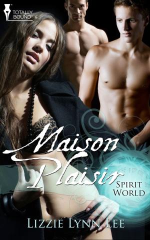 Book cover of Maison Plaisir