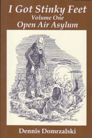 Cover of the book I Got Stinky Feet, Volume One, Open Air Asylum by I.S Tapler