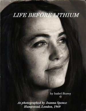 Cover of the book Life Before Lithium by Krista Fuller