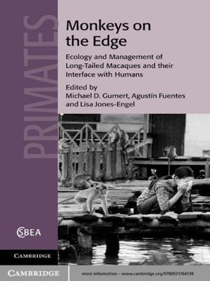 Cover of the book Monkeys on the Edge by Michael C. Horowitz, Allan C. Stam, Cali M. Ellis