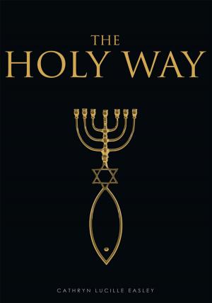 Cover of the book The Holy Way by Brian Nicholson