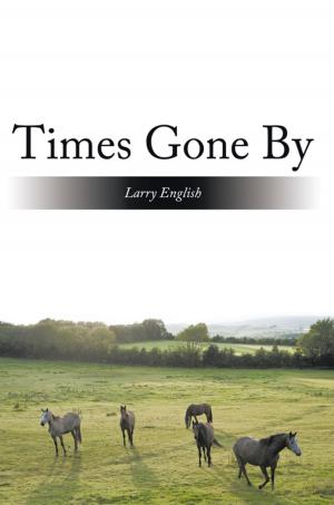 bigCover of the book Times Gone By by 