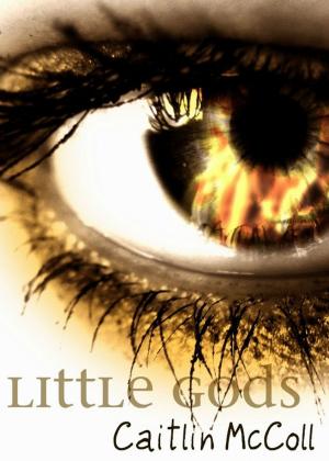 Cover of the book Little Gods by TK Rising