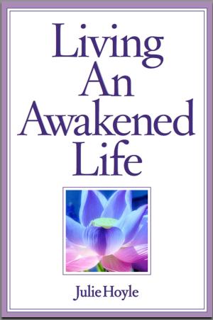 Book cover of Living An Awakened Life
