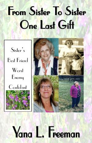 Cover of the book From Sister To Sister One Last Gift by Andrew Holecek, Cornelia G. Murariu