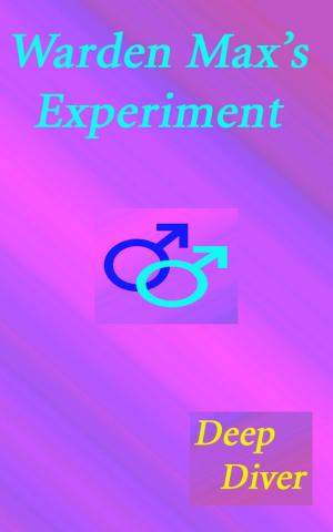 Cover of the book Warden Max's Experiment by Deep Diver