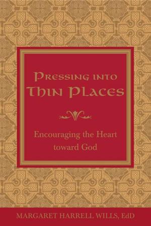 Cover of the book Pressing into Thin Places by Tanner McElroy