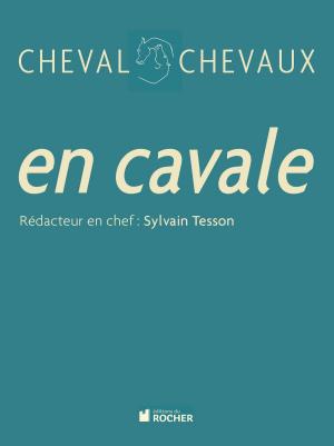 Book cover of Cheval Chevaux, N° 6, printemps-été 2011