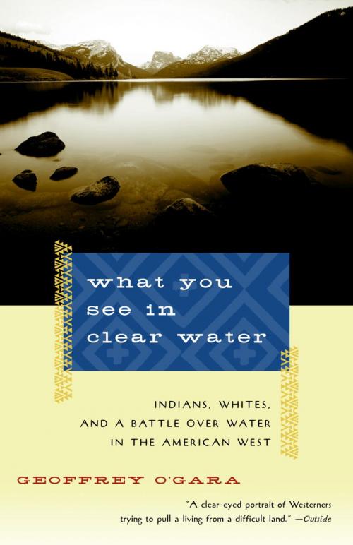 Cover of the book What You See in Clear Water by Geoffrey O'Gara, Knopf Doubleday Publishing Group