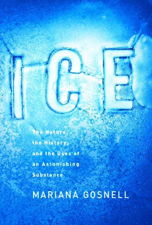 Cover of the book Ice by Mariana Gosnell, Knopf Doubleday Publishing Group