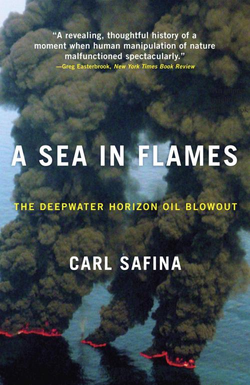 Cover of the book A Sea in Flames by Carl Safina, Crown/Archetype