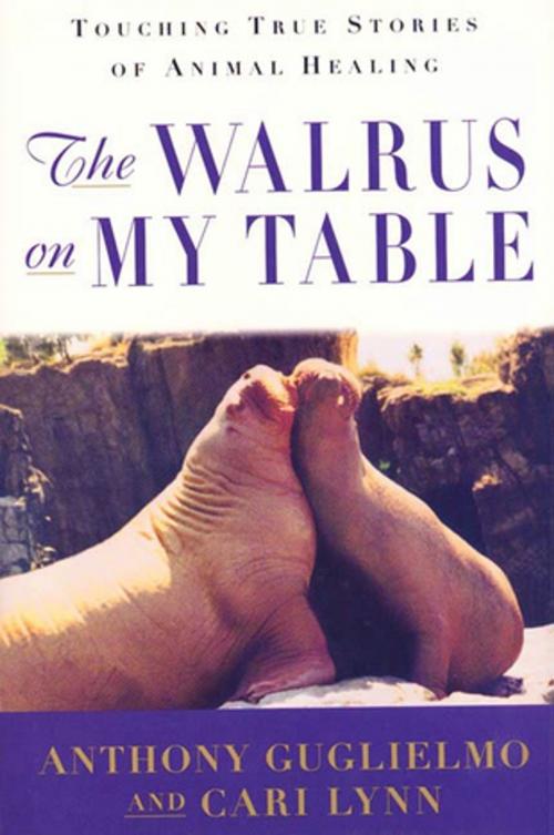 Cover of the book The Walrus on My Table by Anthony Guglielmo, Cari Lynn, St. Martin's Press