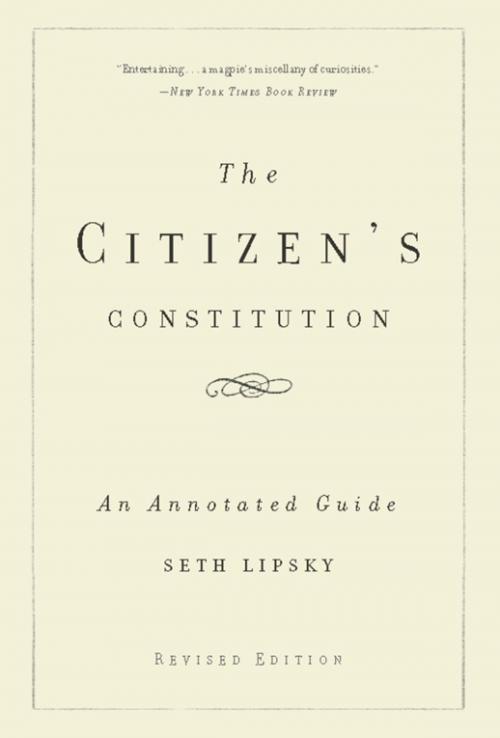 Cover of the book The Citizen's Constitution by Seth Lipsky, Basic Books