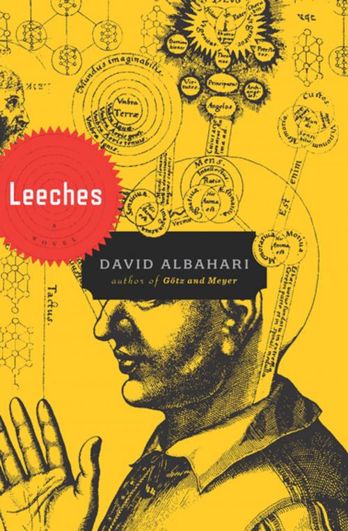 Cover of the book Leeches by David Albahari, Houghton Mifflin Harcourt