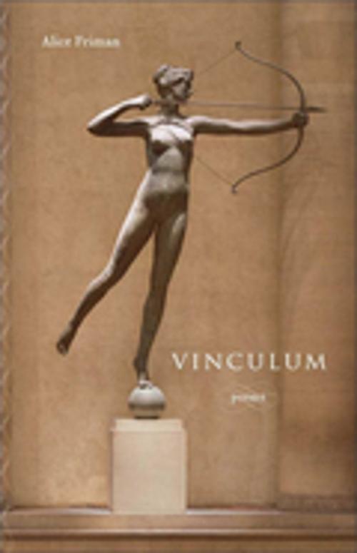 Cover of the book Vinculum by Alice Friman, LSU Press