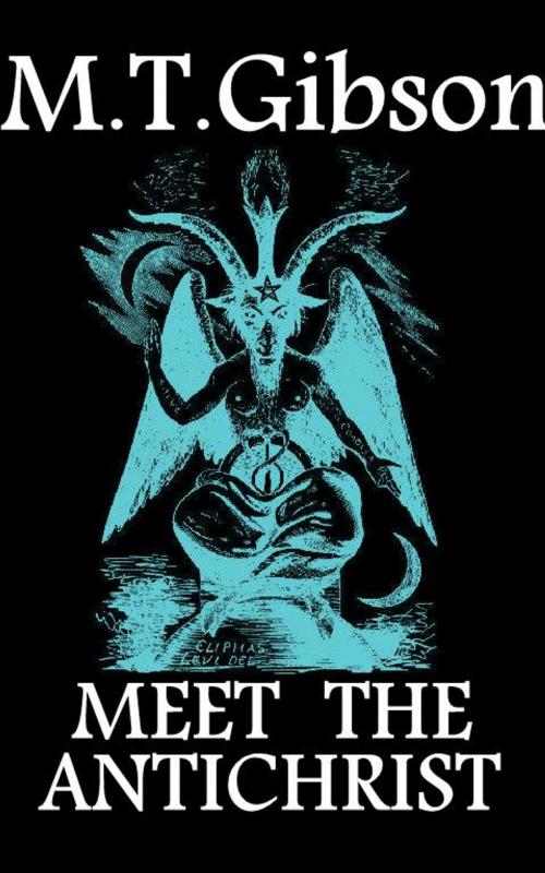 Cover of the book Meet The Antichrist by Melynie T. Gibson, Aardwolfe Books