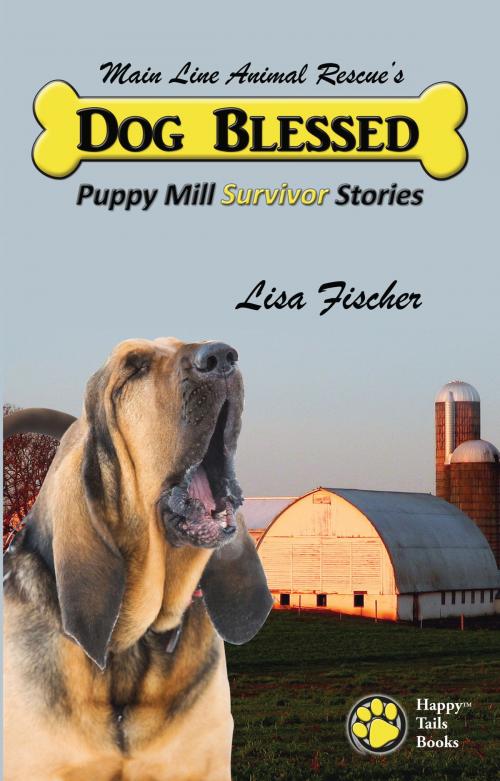 Cover of the book Dog Blessed: Puppy Mill Survivor Stories by Kyla Duffy, Kyla Duffy