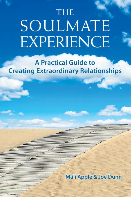 Cover of the book The Soulmate Experience by Mali Apple, Joe Dunn, A Higher Possibility