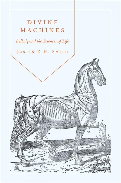 Cover of the book Divine Machines by Justin E. H. Smith, Princeton University Press