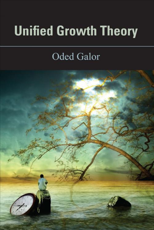 Cover of the book Unified Growth Theory by Oded Galor, Princeton University Press