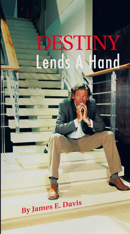 Cover of the book Destiny Lends a Hand by James E. Davis, Trafford Publishing